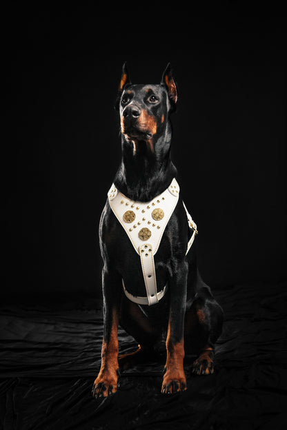 The "Maximus" Dog Harness. White