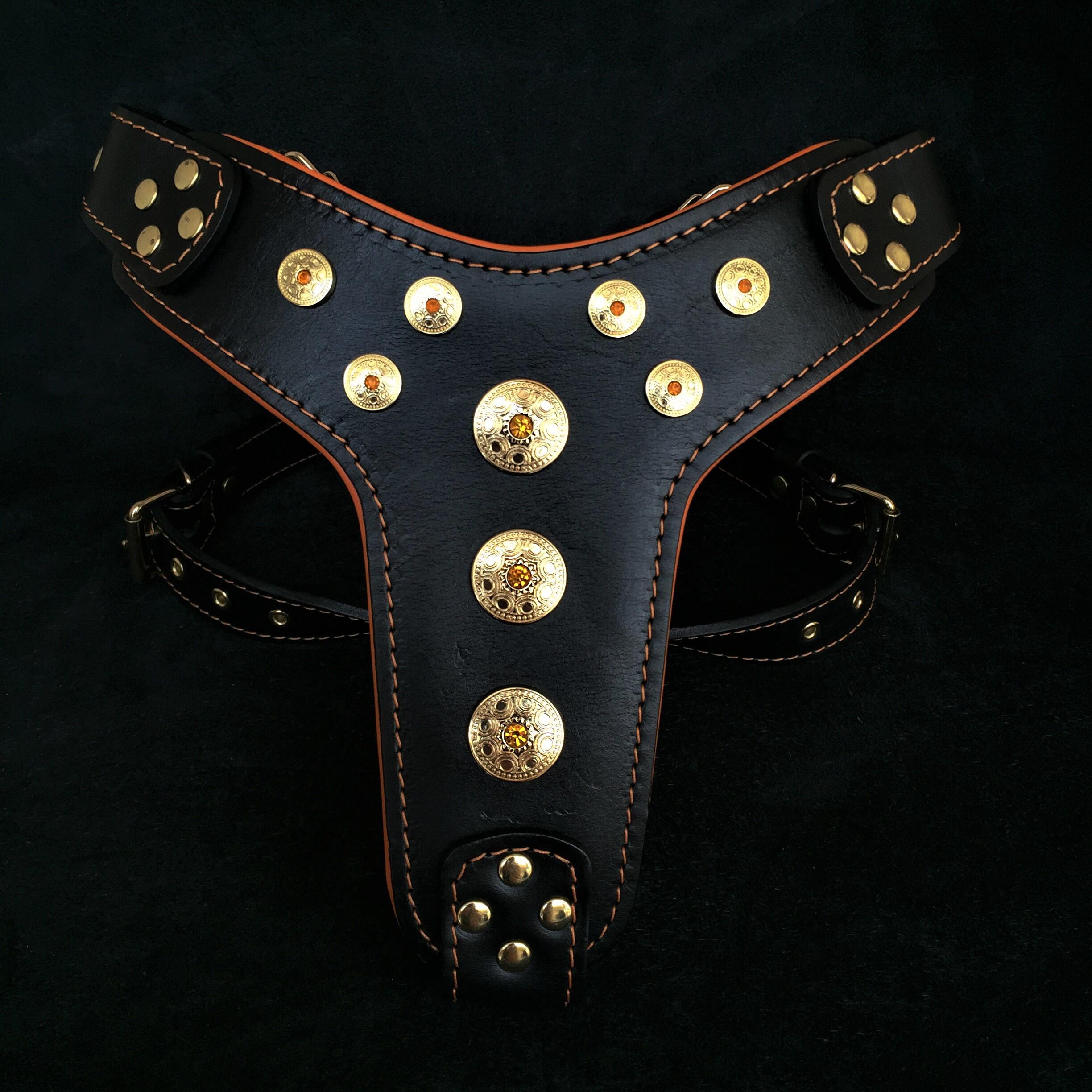 "Bijou" Big Dogs Harness. Black & Orange