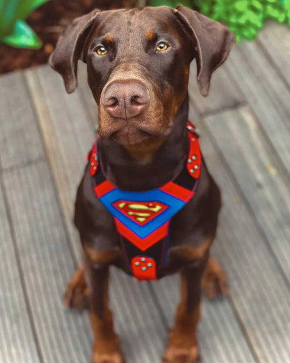 "Superdog" Dog Harness