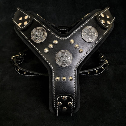 The "Maximus" Silver Dog Harness