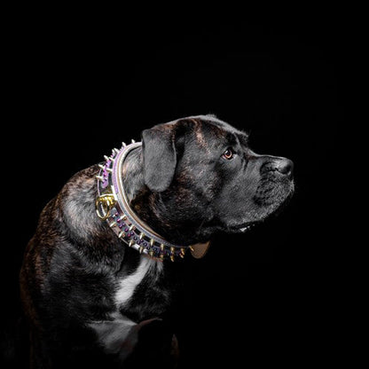 The "Candy" Dog Collar