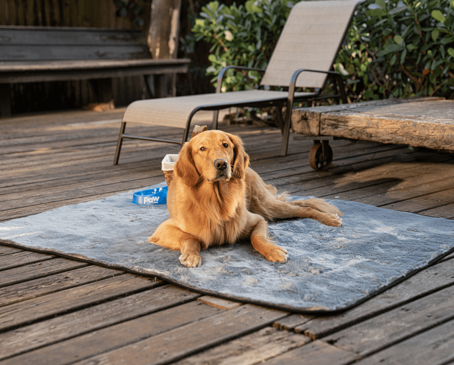 PupProtector™ Short Fur Waterproof Throw Blanket - Charcoal Grey