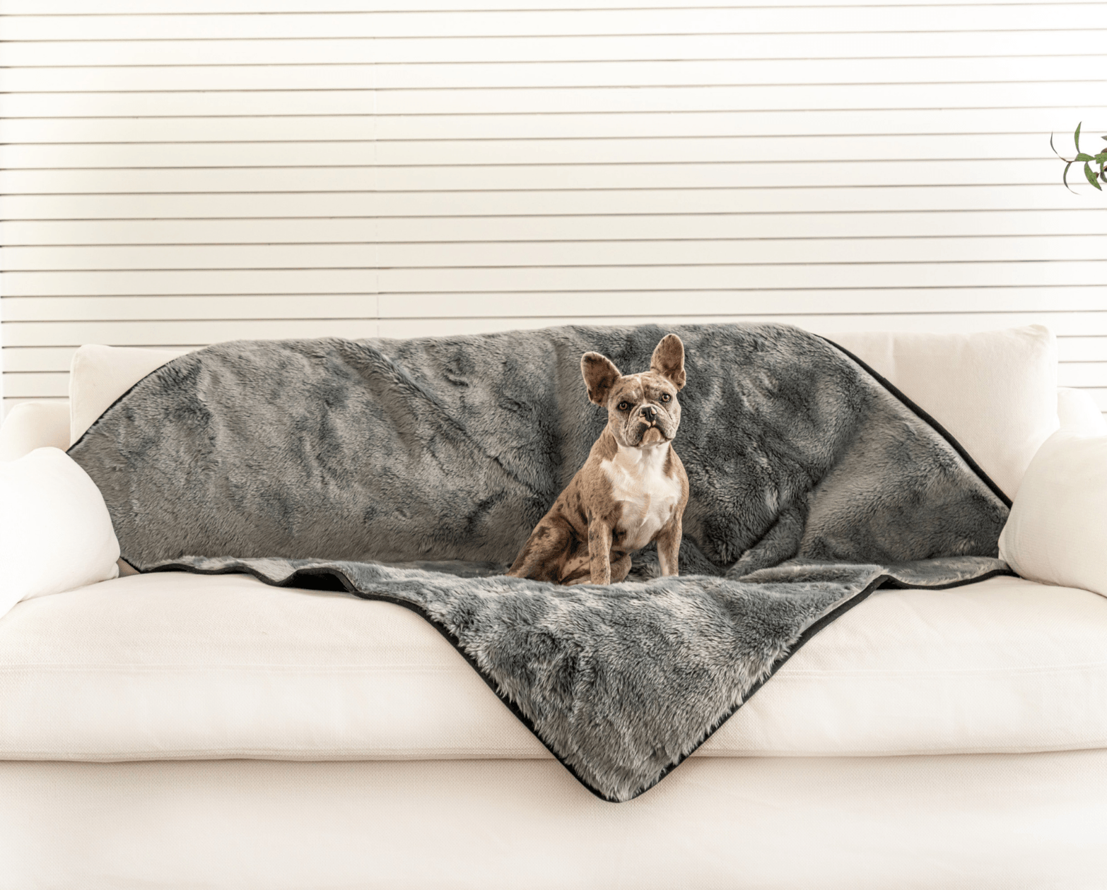 PupProtector™ Short Fur Waterproof Throw Blanket - Charcoal Grey