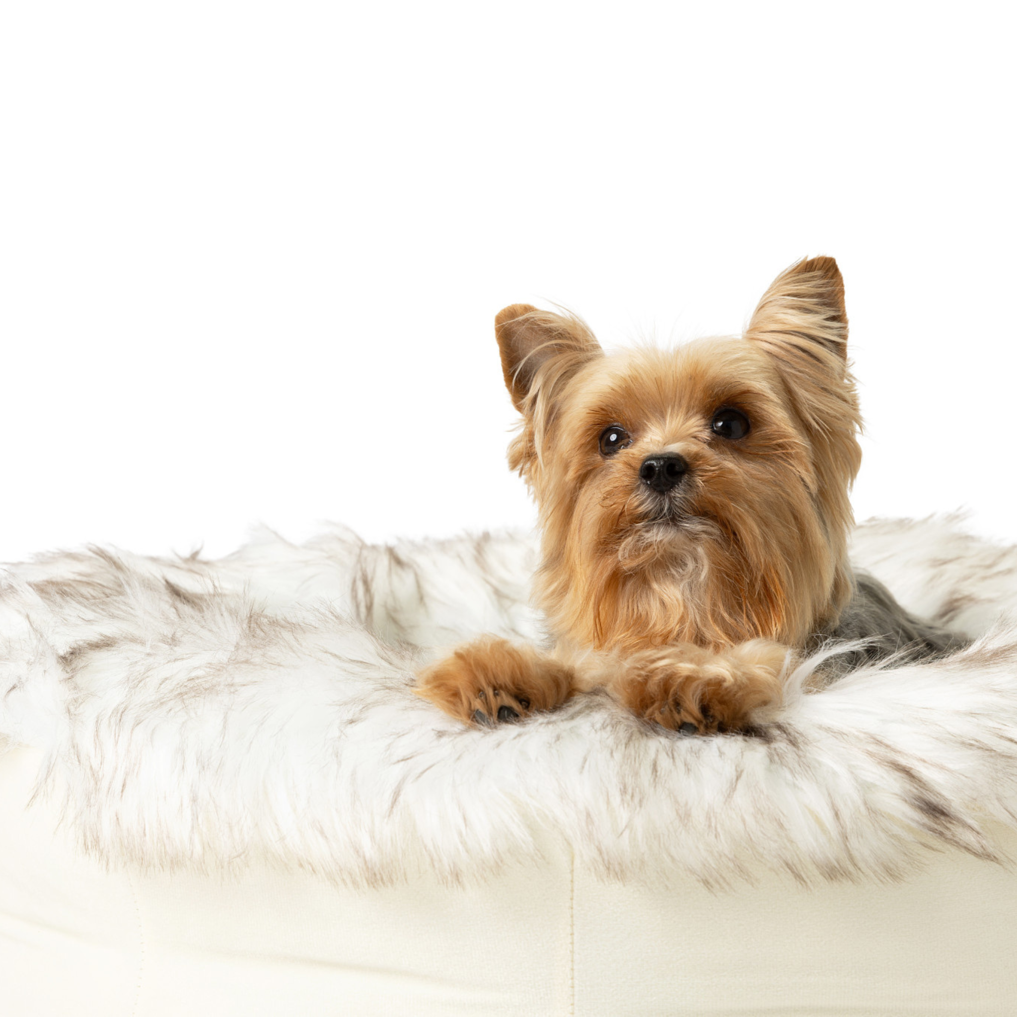 PupPouf™ Faux Fur Donut Dog Bed - White with Brown Accents