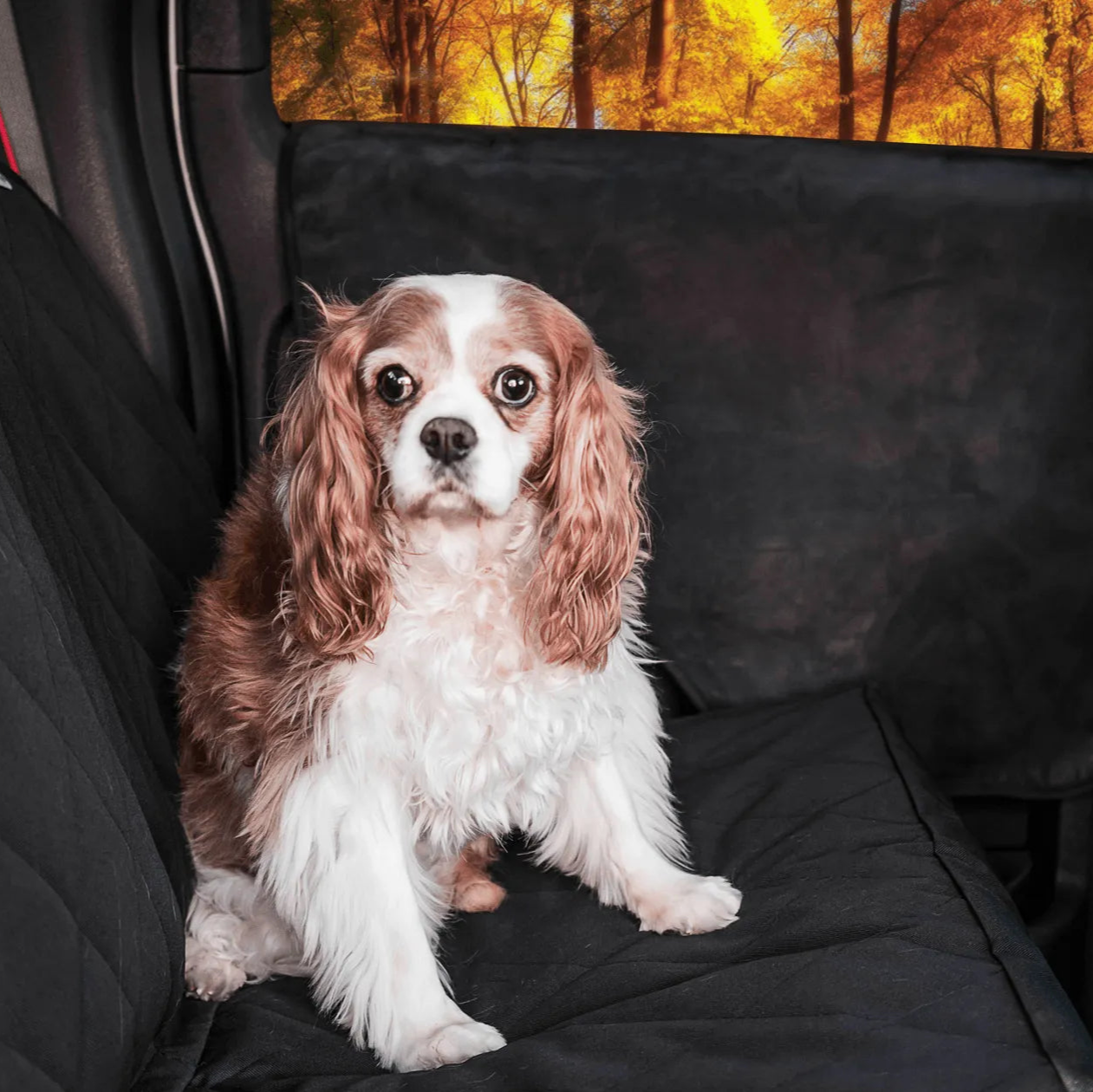 PupProtector™ Car Door Guard (2 pack)