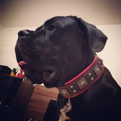 The "Eros" Dog Collar 2.5-inch Wide. Black & Red