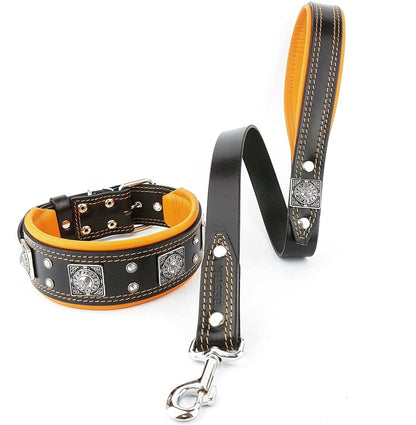 The "Eros" Dog Collar 2.5-inch Wide. Black & Orange