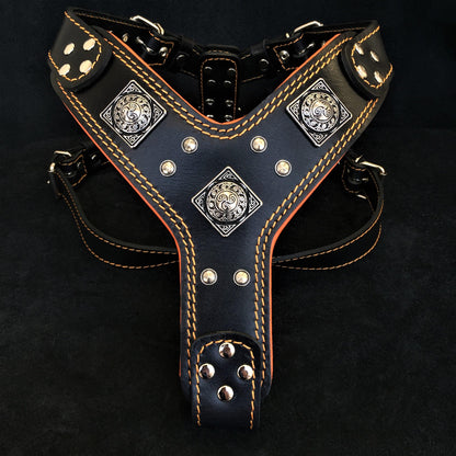 The "Eros" Dog Harness. Black & Orange