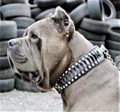 The "Steampunk" Collar Exclusive Design