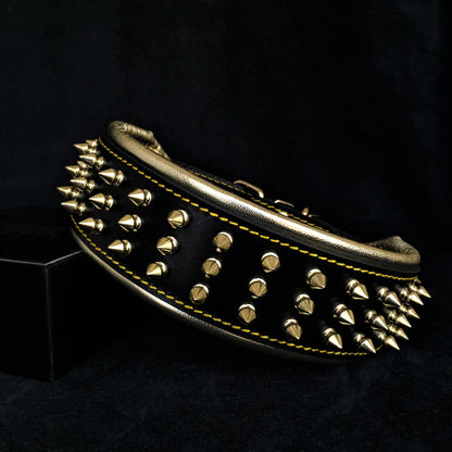 The "Gold Giant" Dog Collar