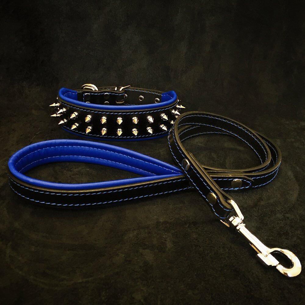 "Frenchie" Dog Set - Dog Collar & Leash. Blue