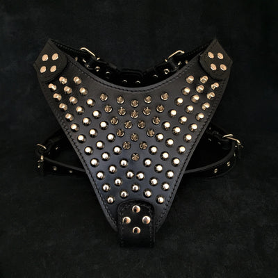 The "Gladiator" Dog Harness