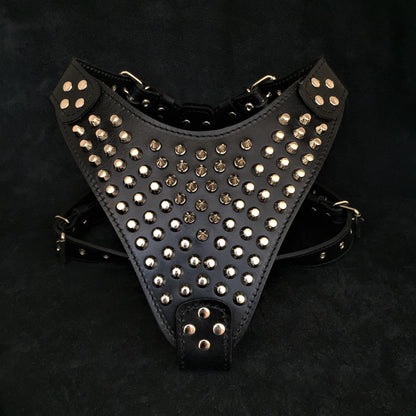 The "Gladiator" Dog Harness
