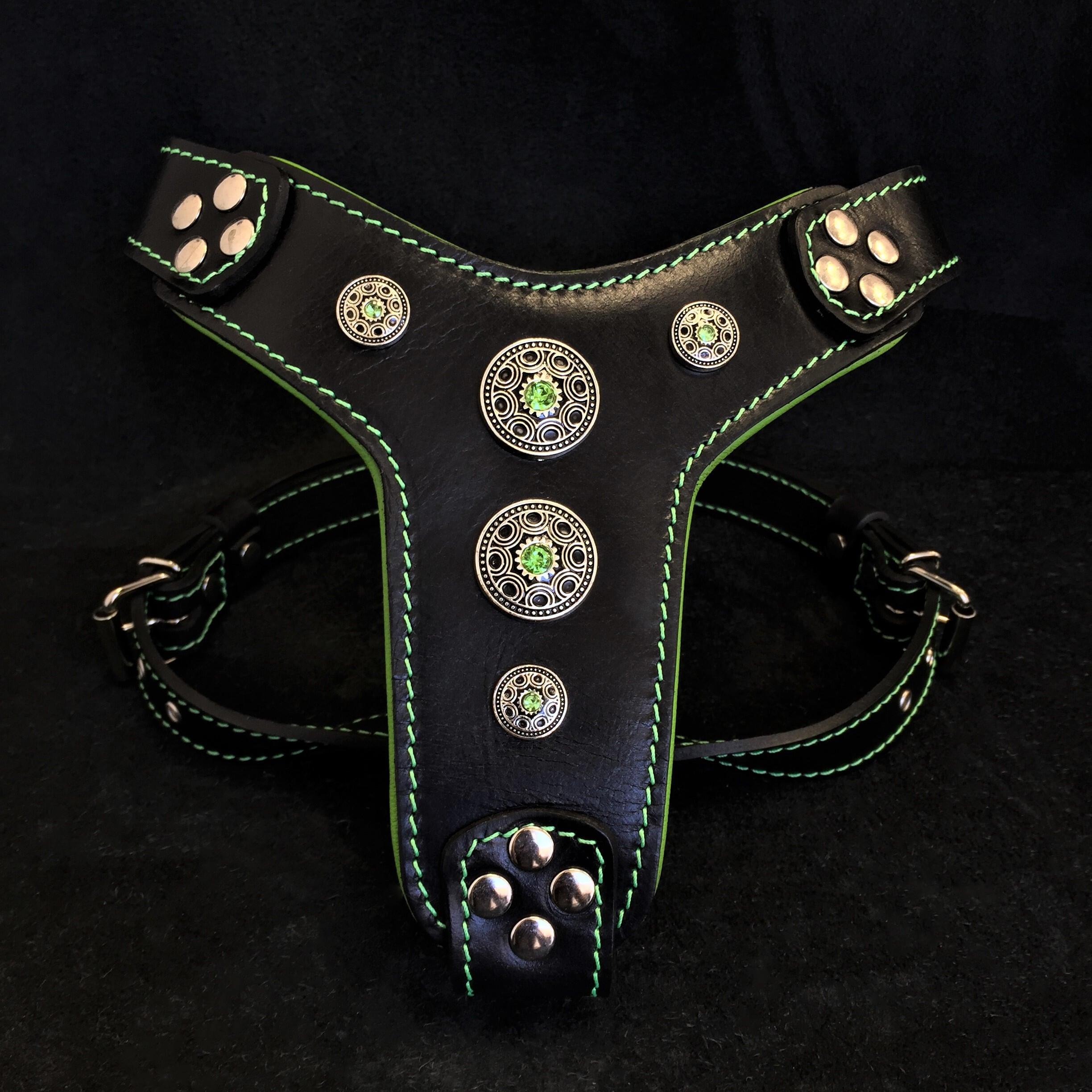 The "Bijou" Dog Harness Small to Medium Breeds. Black & Green