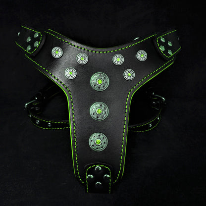 "Bijou" Big Dog Harness. Black & Green