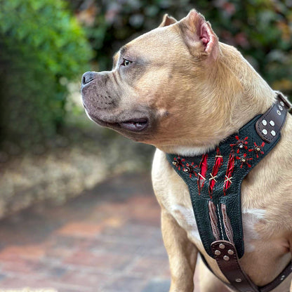 The "Haunted" Dog Harness LIMITED