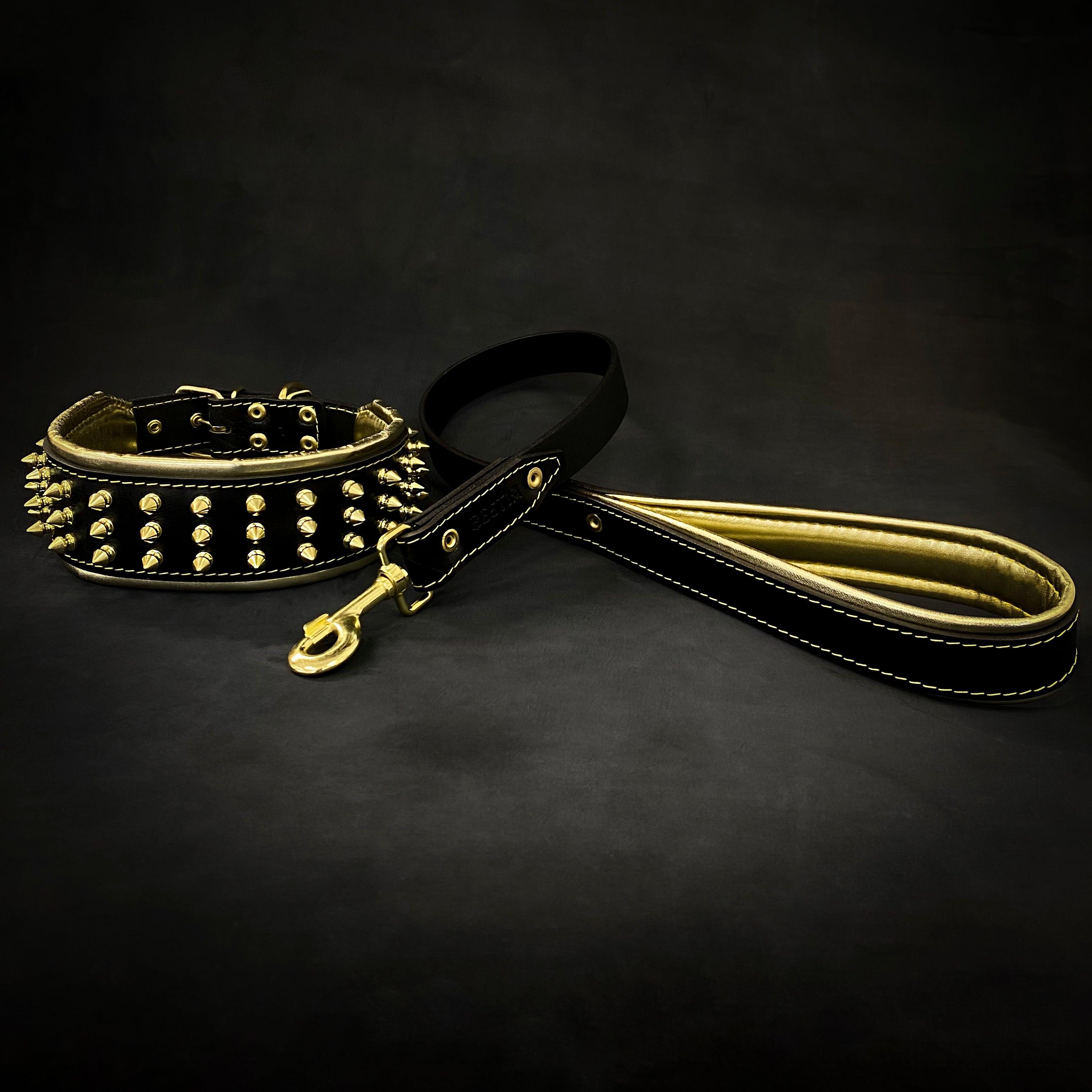 The "Gold Giant" Dog Collar