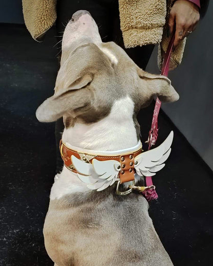 Hermes Dog Collar