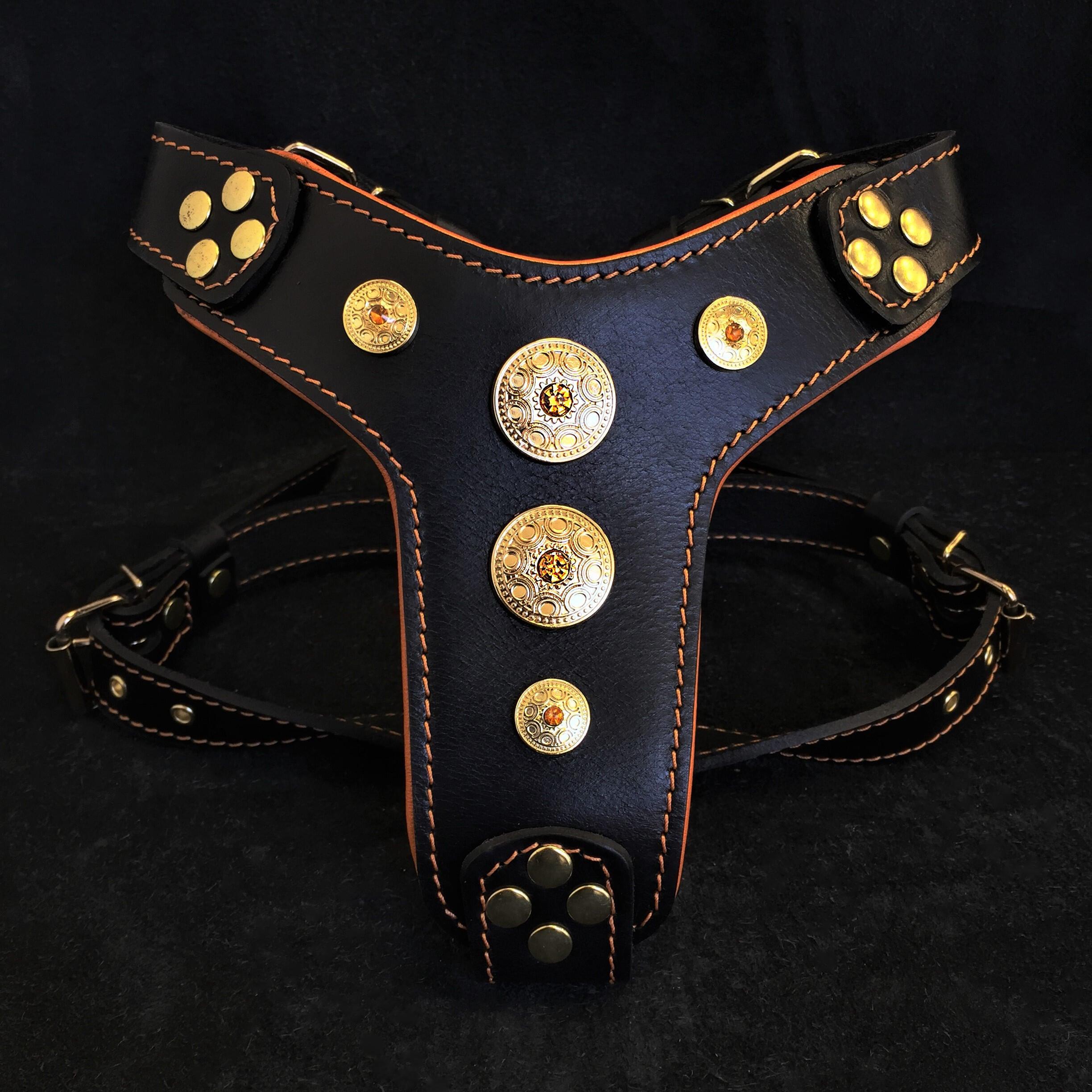 The "Bijou" Dog Harness for Small to Medium Breeds. Black & Orange