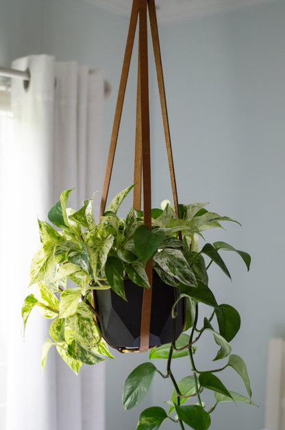 Leather Plant Hanger