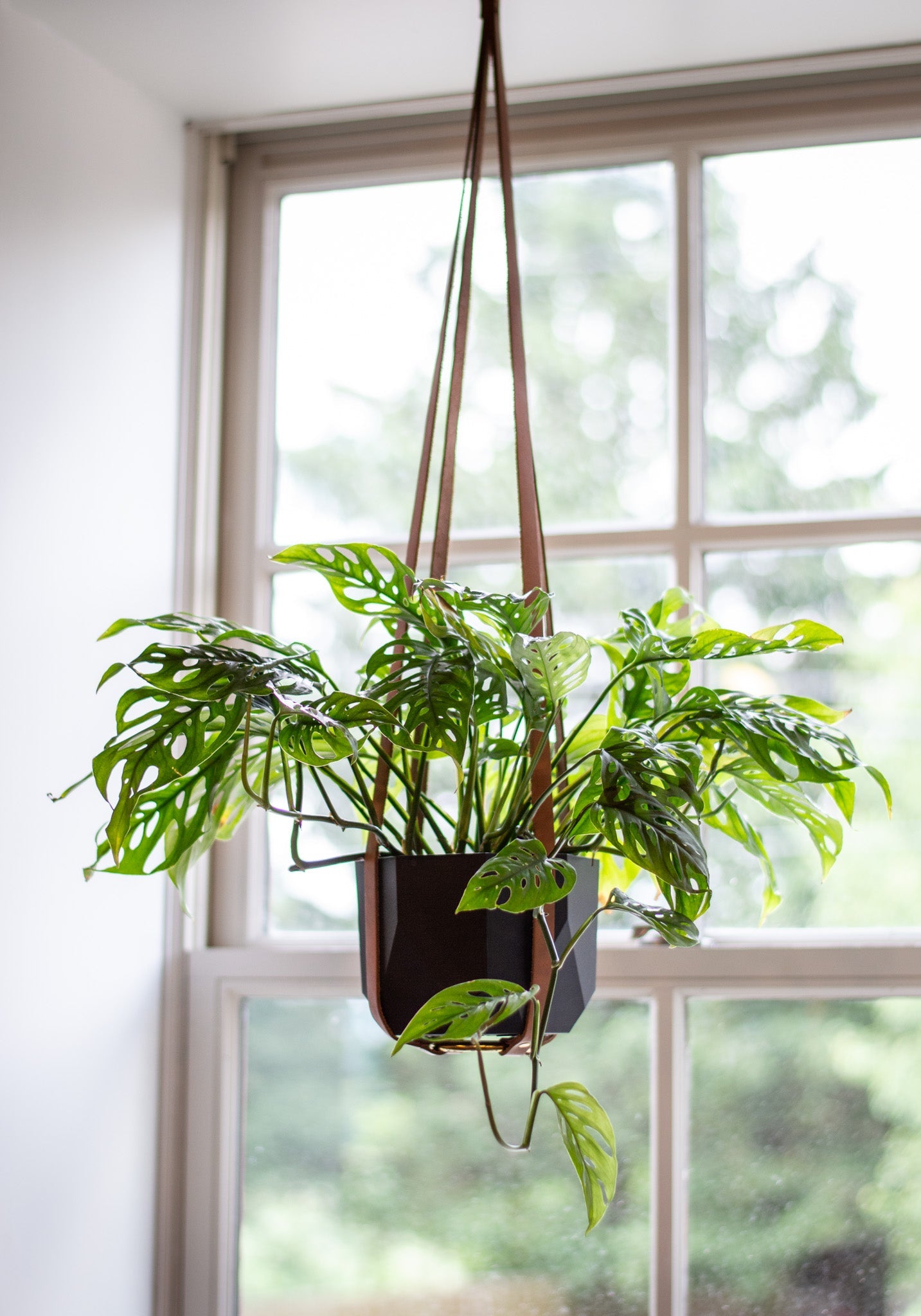 Leather Plant Hanger