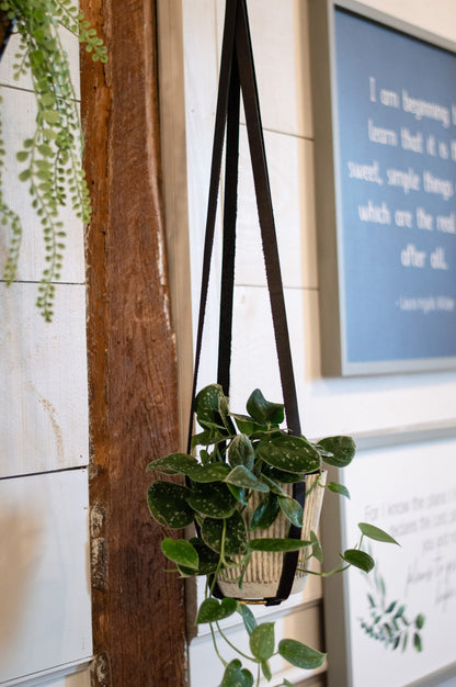 Leather Plant Hanger