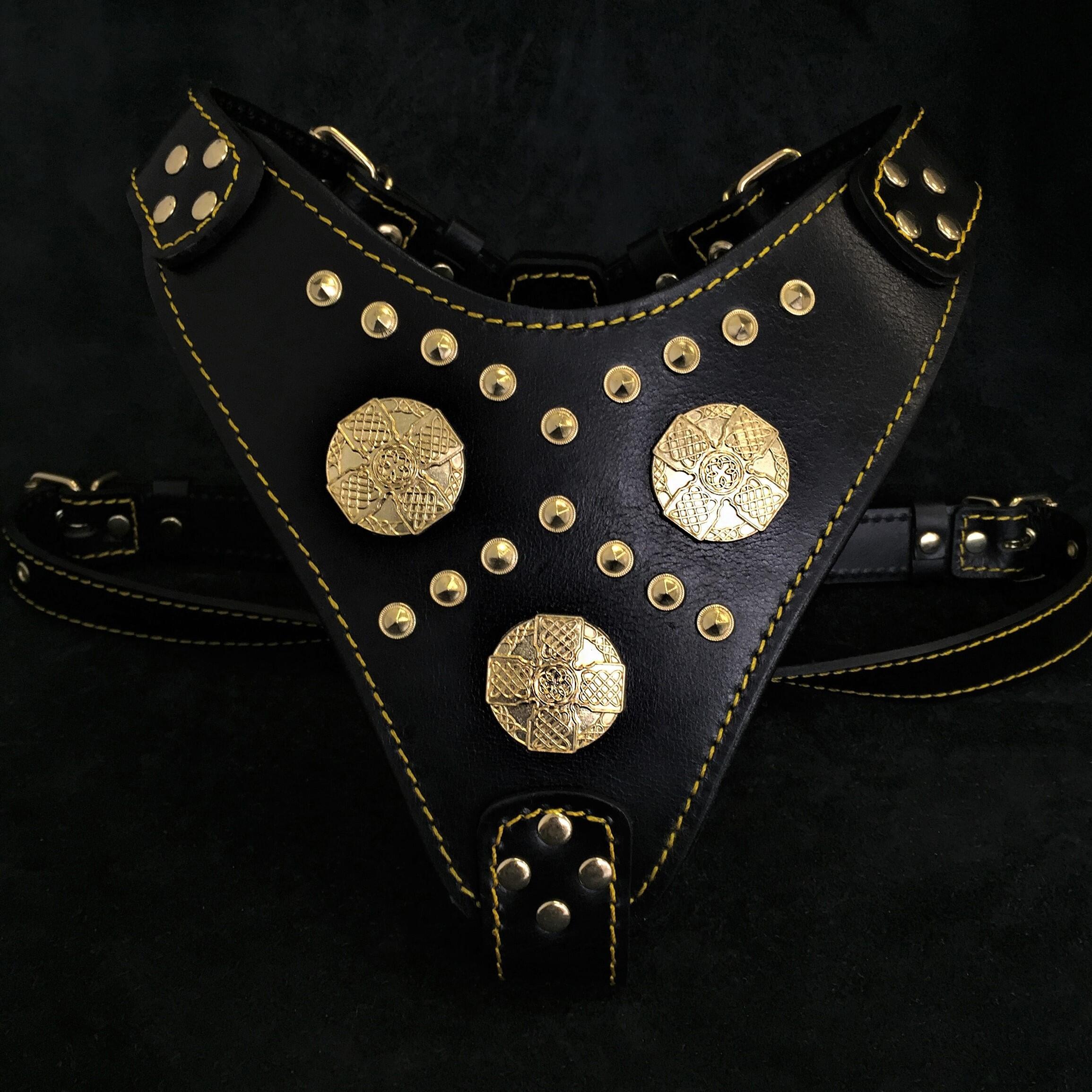The "Maximus" Dog Harness. Black & Gold