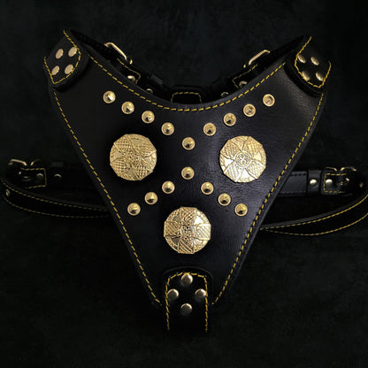 The "Maximus" Dog Harness. Black & Gold