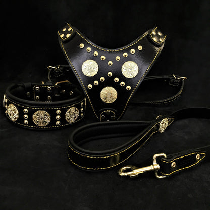 "Maximus Black" Big Dog SET- Harness - Collar - Lead. Brass Rivets