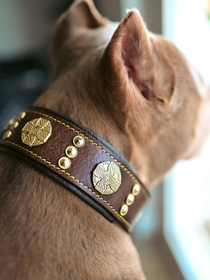 The "Maximus" Collar 2.5-inch Wide. Brown & Gold