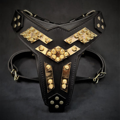 The "Midas" Leather Dog Harness. Gold