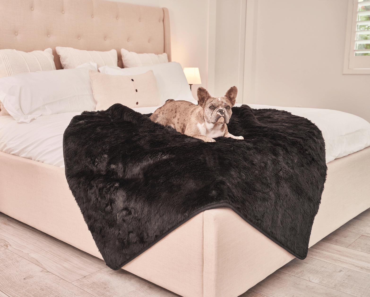 PupProtector™ Short Fur Waterproof Throw Blanket - Midnight Black