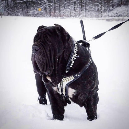 The "Platinum" Dog Harness