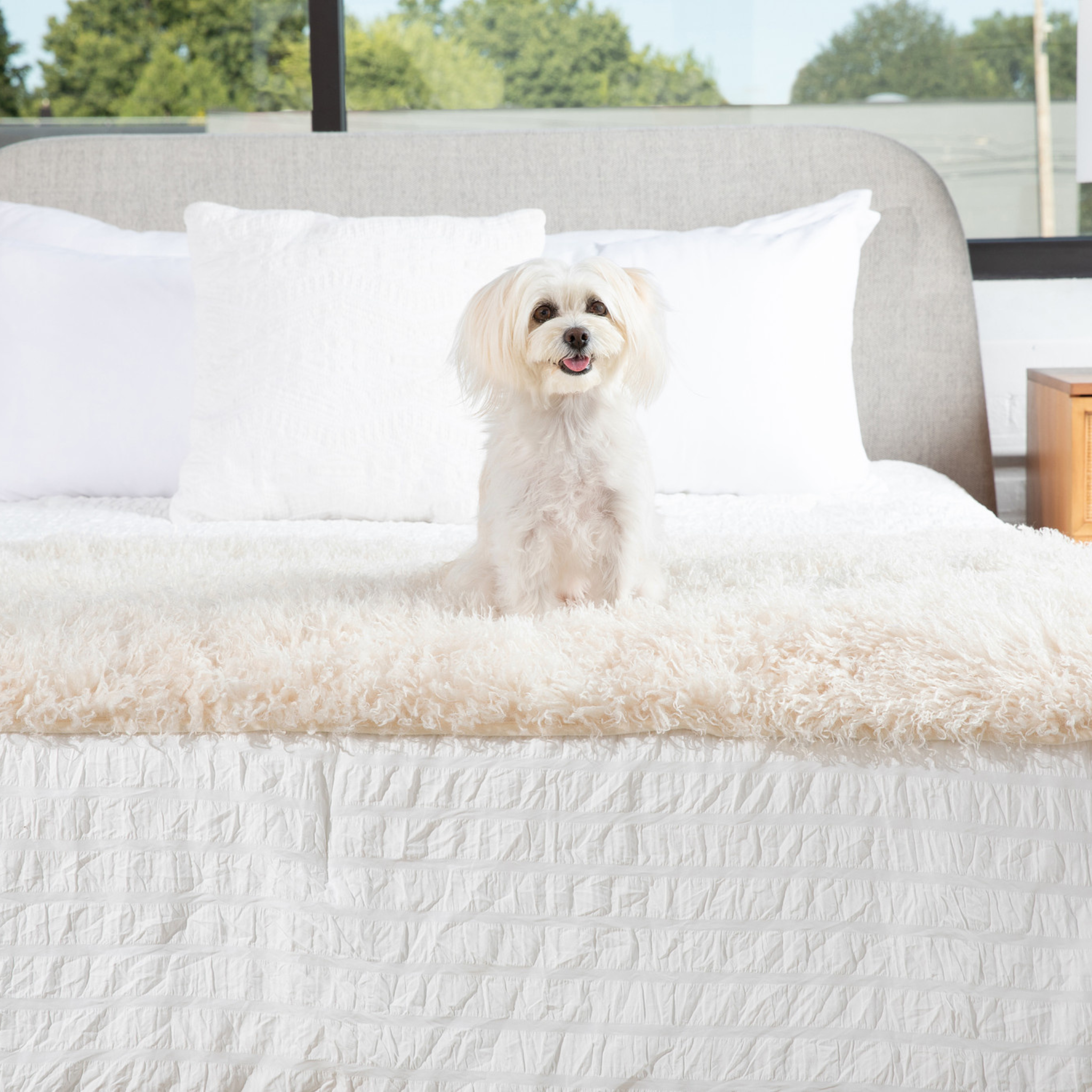 PupProtector™ Luxe Waterproof Bed Runner - Plush Sheep Ivory