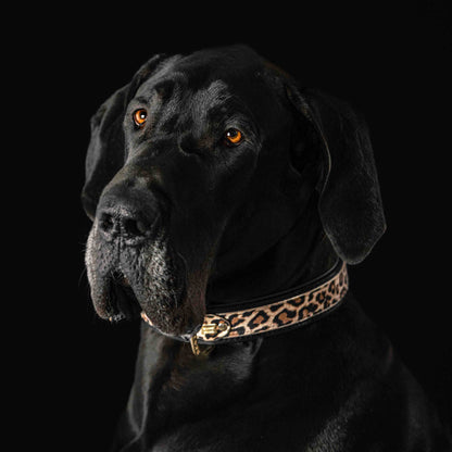 The "Leopard" Dog Collar