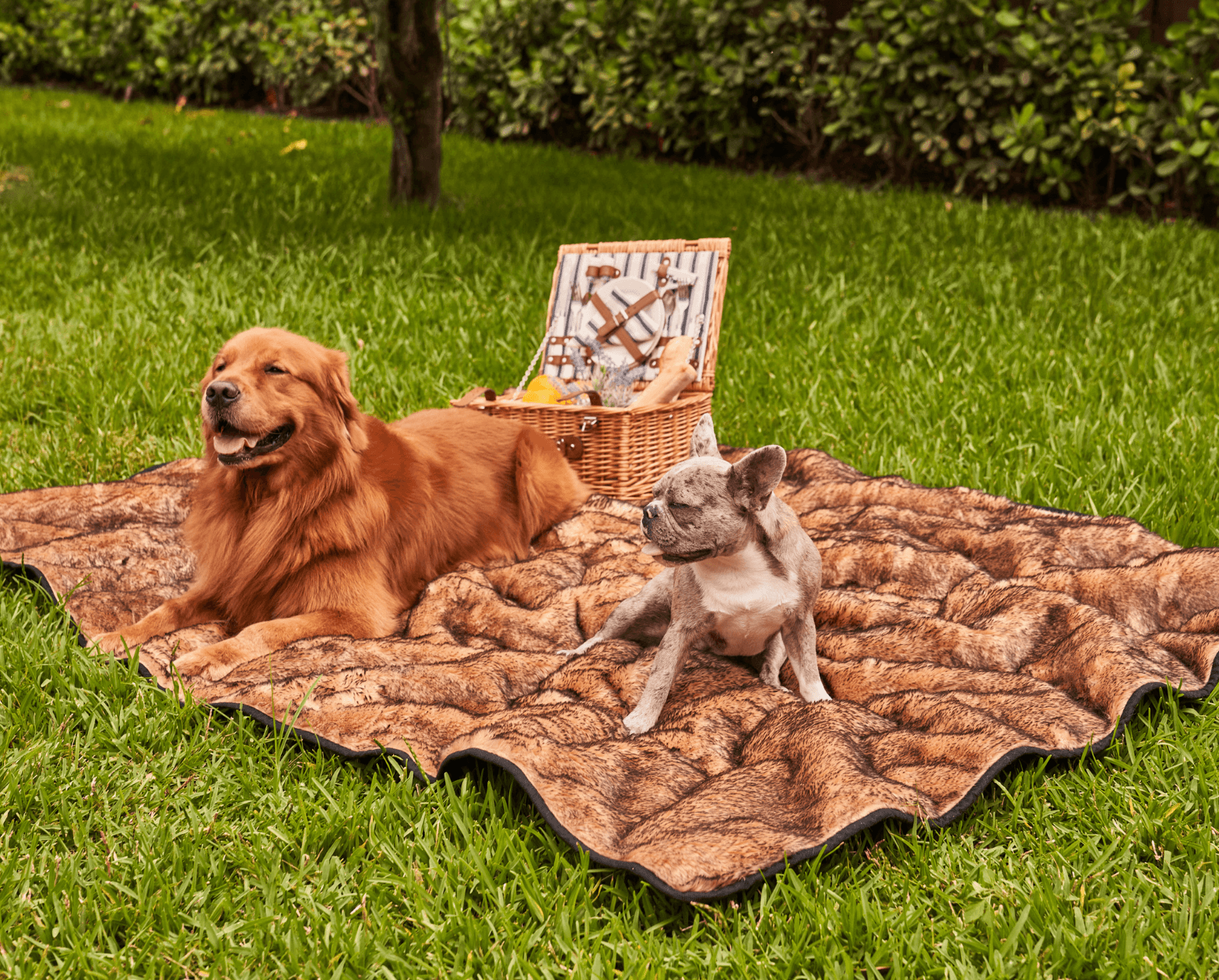 PupProtector™ Short Fur Waterproof Throw Blanket - Sable Tan