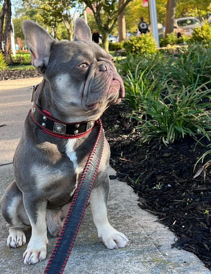 The "Eros" Collar 2-inch Wide