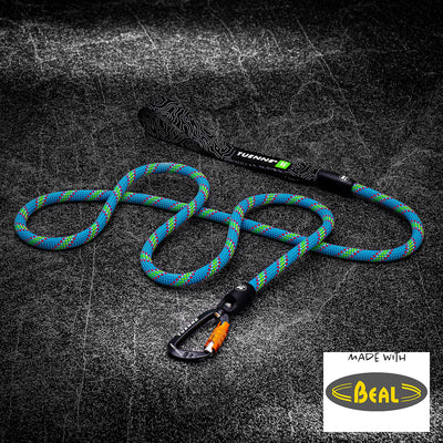 Rope Dog Leash with Auto-Locking Carabiner – 9.5mm Beal Dynamic | Blue-Green Stripe