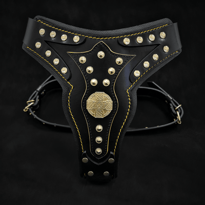 The "Maximus" Dog Harness V2