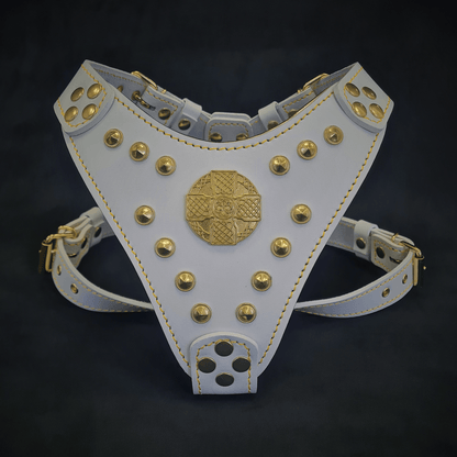 The "Maximus" Dog Harness for Small to Medium Breeds. White & Gold