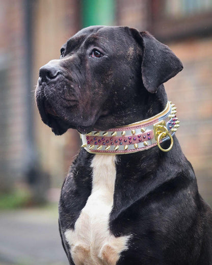 The "Candy" Dog Collar