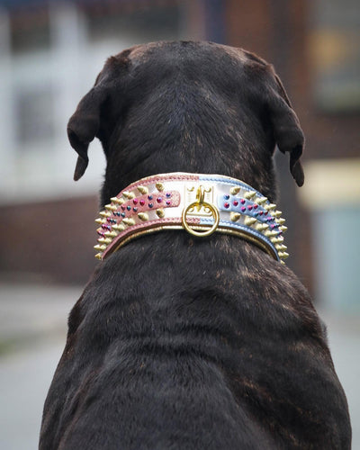 The "Candy" Dog Collar