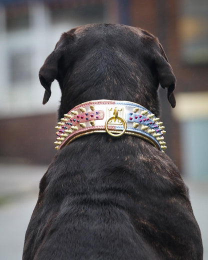 The "Candy" Dog Collar